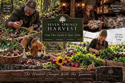 Seven Springs Harvest