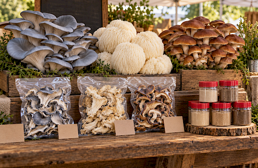 Gourmet Cultivated Mushrooms