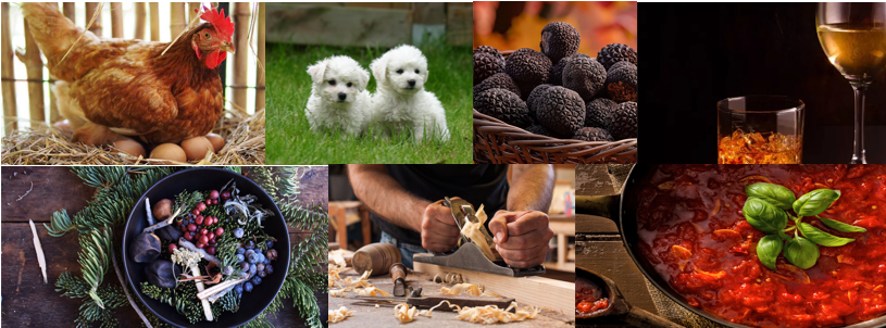 Products Banner